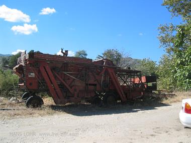 2004 Lesbos 101_0181_478